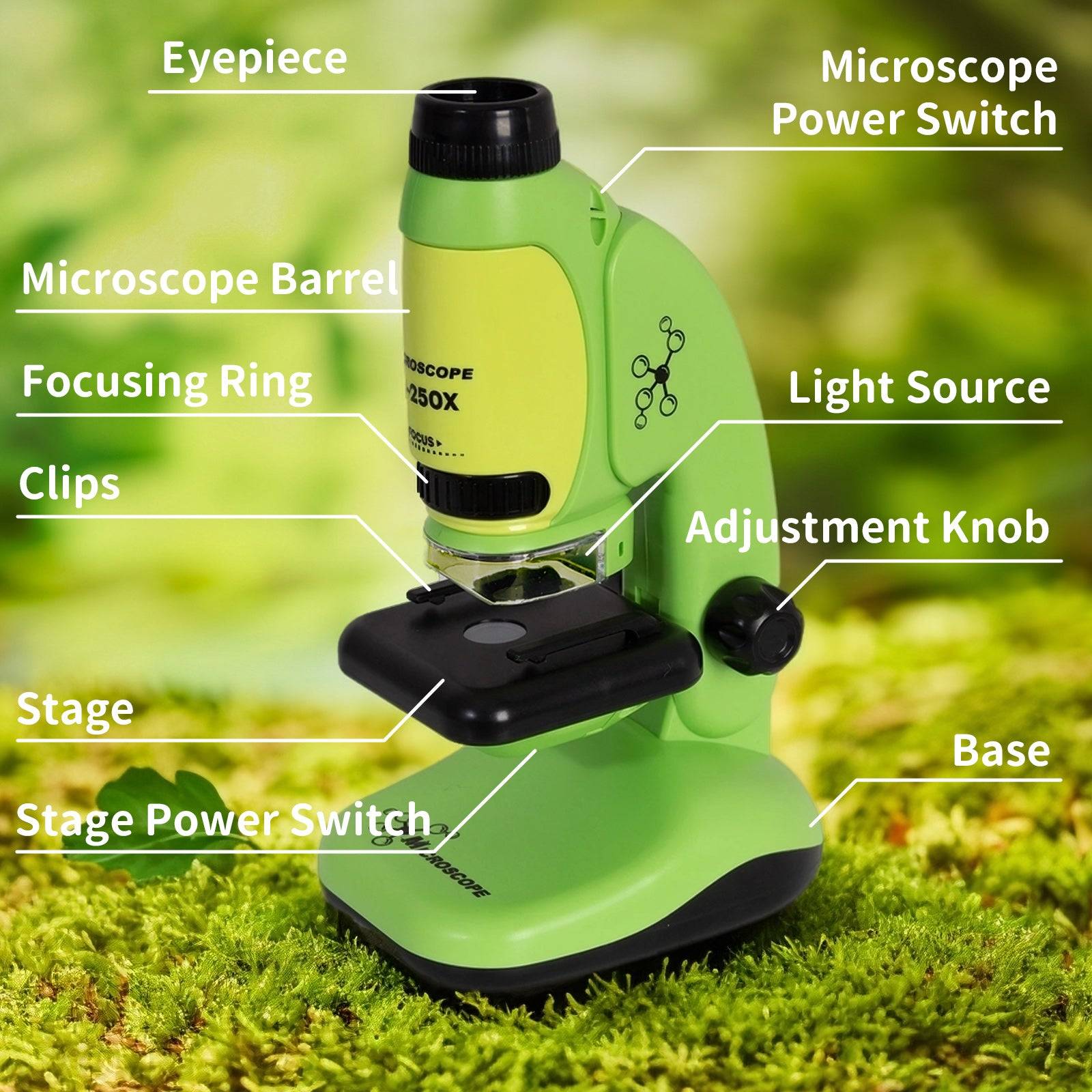 Todeco 50X-250X Microscope, Microscope de poche et de table 2 en 1, microscope pour Les Enfants, Les étudiants, l'observation microbiologique - Gamm vert Todeco 50X-250X Microscope, Microscope de poche et de table 2 en 1, microscope pour Les Enfants, Les étudiants, l'observation microbiologique - Gamm vert