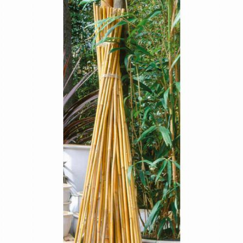 7 Tuteurs H90cm en bambou - Image 1