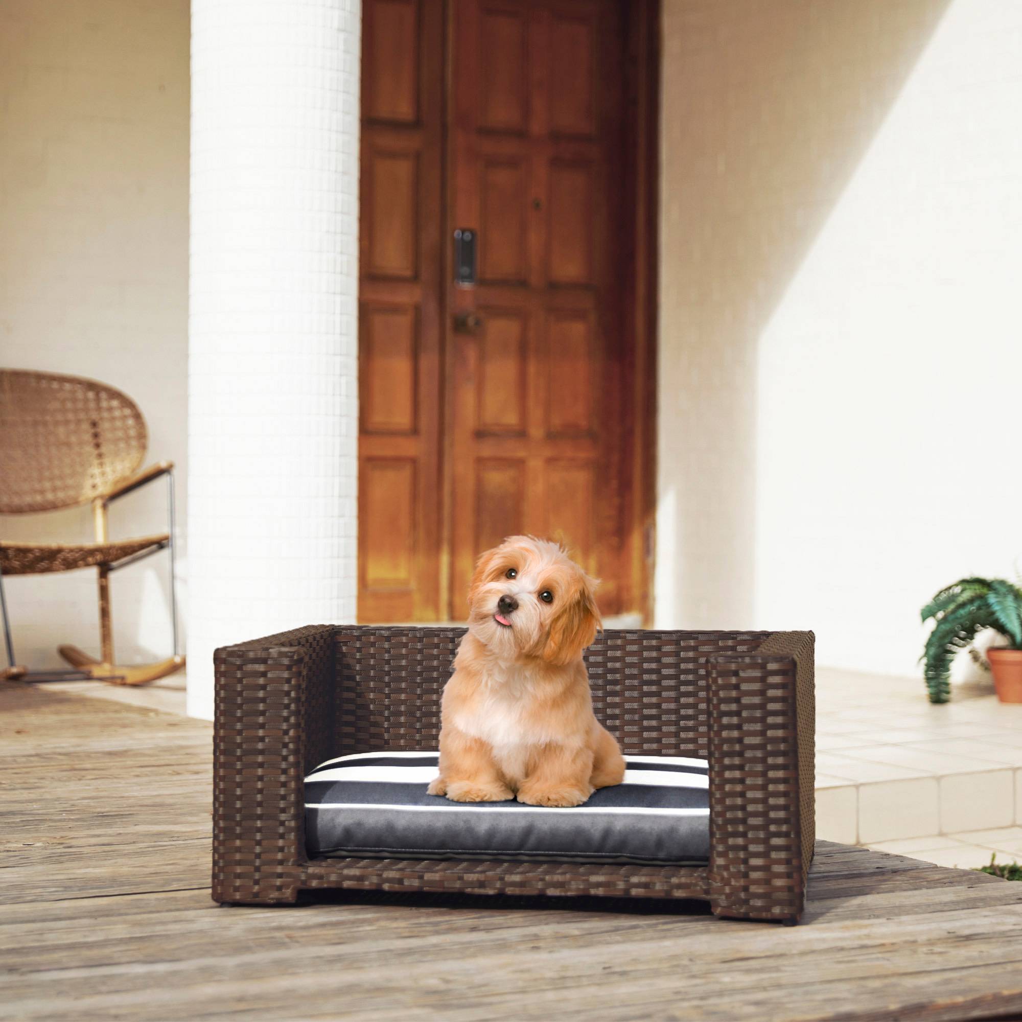 Lit surélevé en rotin avec coussin lavable pour chat ou petit chien - Image 1