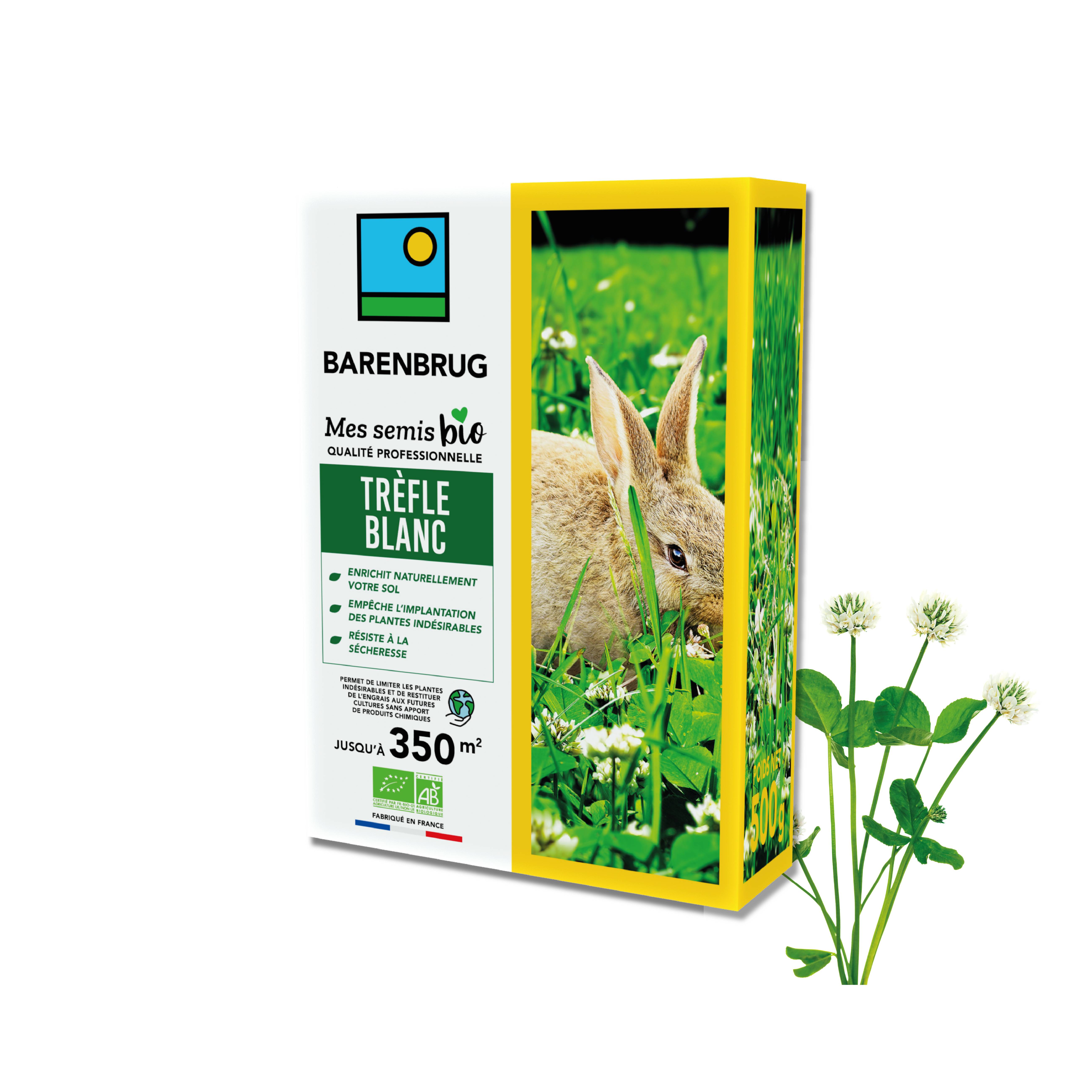 Barenbrug - Trèfle blanc - Enrichit Naturellement Sol - Empêche Installation Plantes Indésirables - Résiste Sécheresse - 500G - BARENBRUG