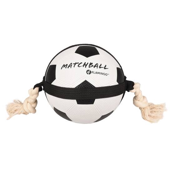 Ballon de football matchball pour chien 20 cm avec corde - Image 1