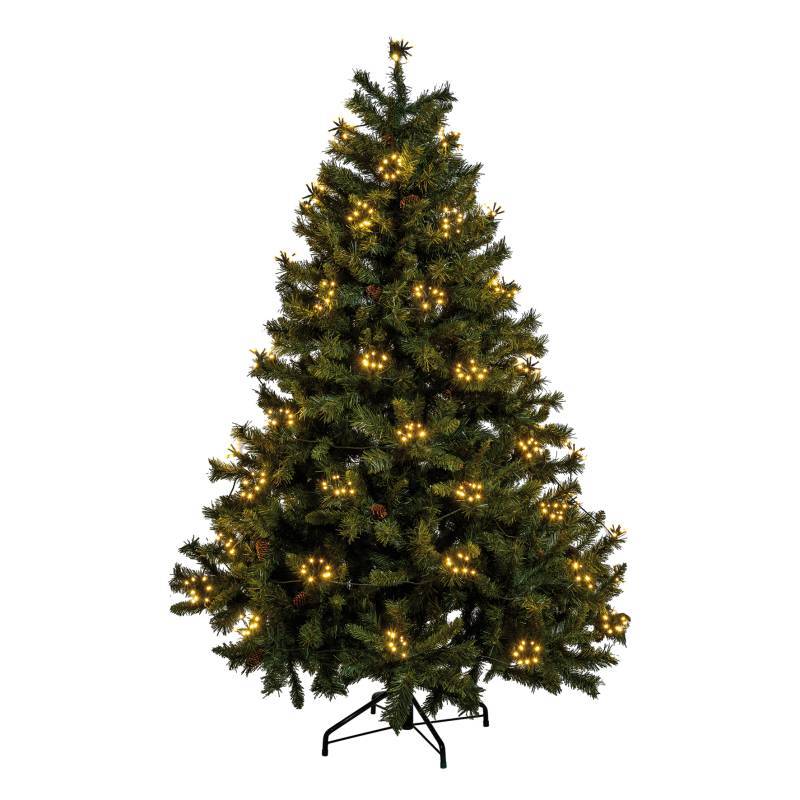 Lotti - Guirlande lumineuse 40 grappes 320 LED blanc chaud 8 modes 31V Lotti - Image 5
