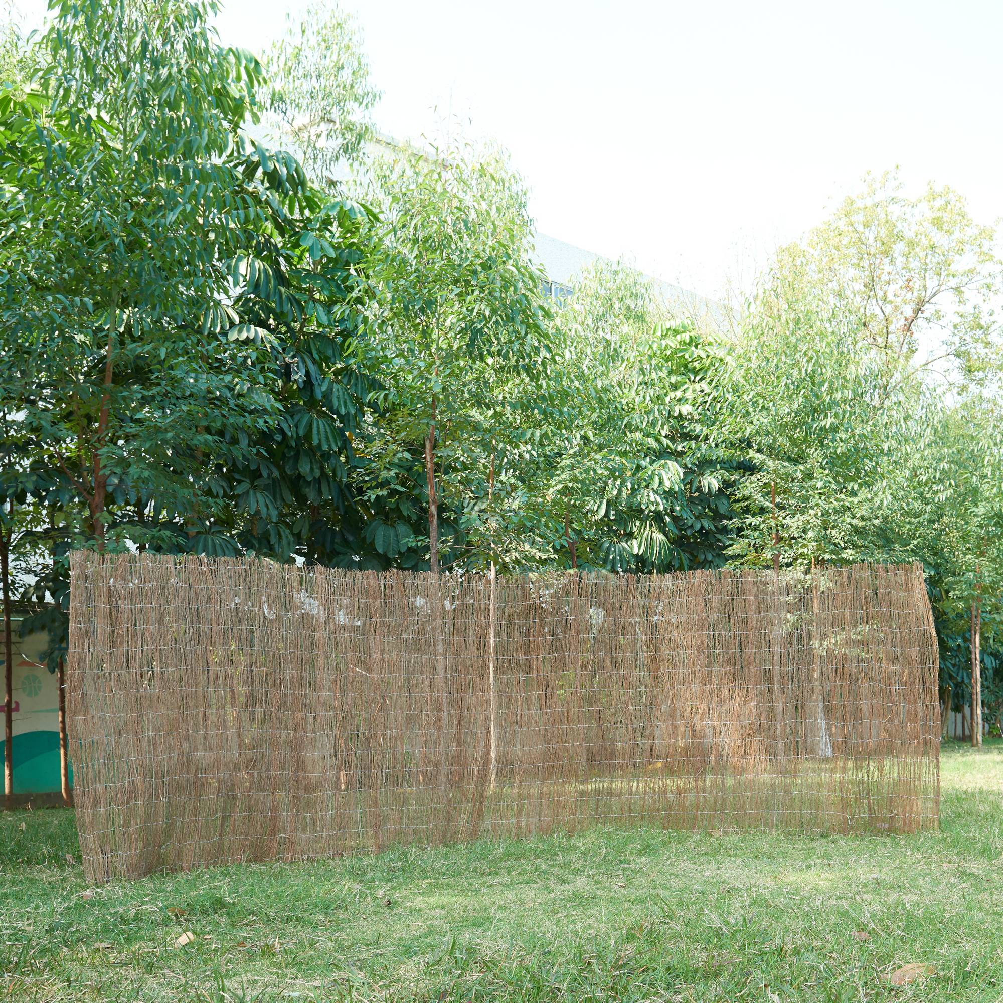 Casa.Pro - Brise-vue en brande de bruyère Brielle 0,9 kg / m²  500 x 200 cm naturel casa.pro - Image 2