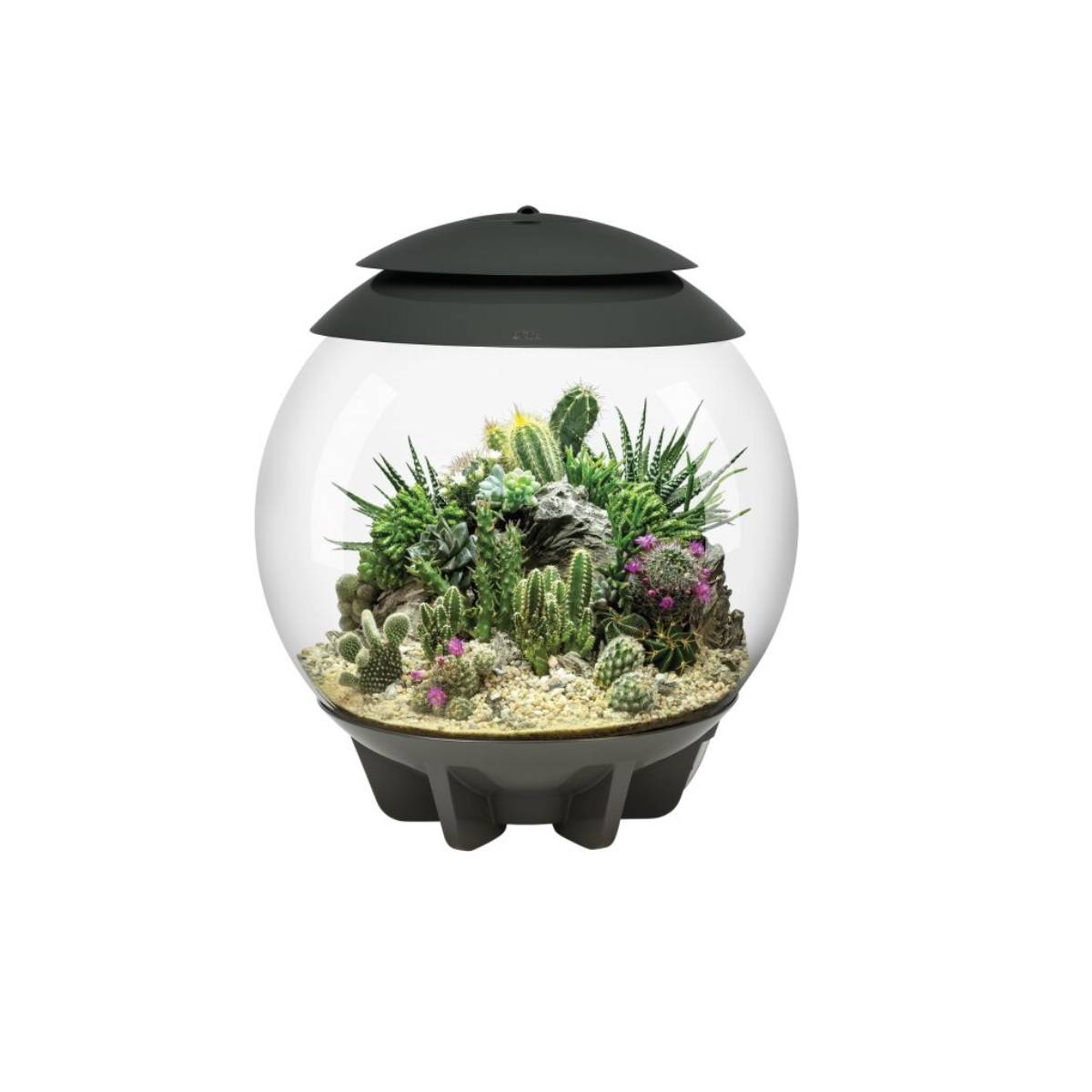 Oase - Terrarium automatisé 30l gris AIR30GREY Oase - Image 1