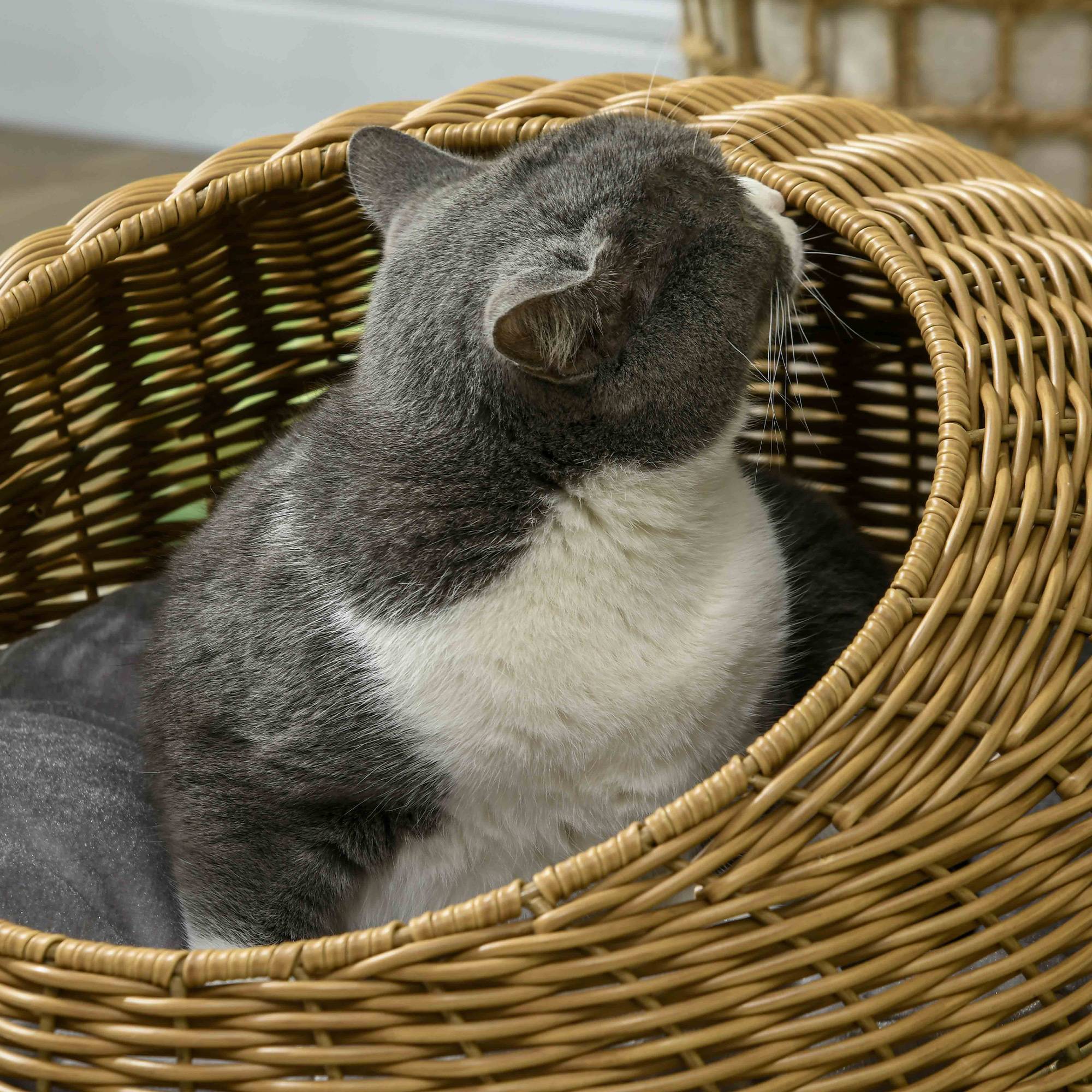 Sans Marque - Cachette chat avec coussin lavable, jusqu'à 4kg, Intérieur, Rotin synthétique, Ø50x31cm, Brun clair - Image 10