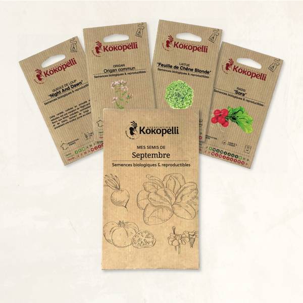 Mes semis de septembre - 4 sachets de graines bio à semer- Association Kokopelli - Image 2