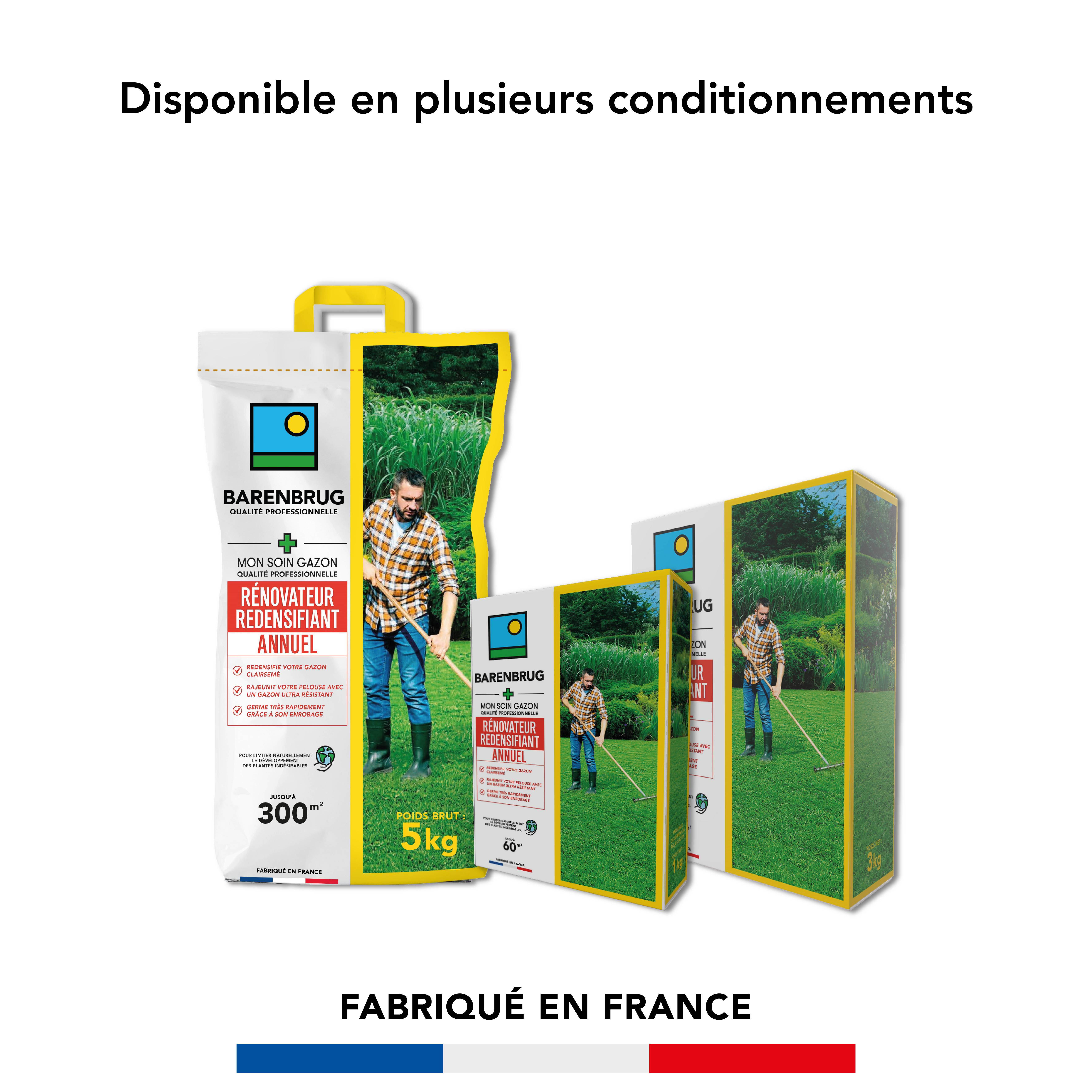 Barenbrug - Soin Rénovateur Redensifiant - Redensifie et Rajeunit le Gazon - Germe Très Rapidement - Semences avec Enrobage - 5KG - BARENBRUG - Image 6