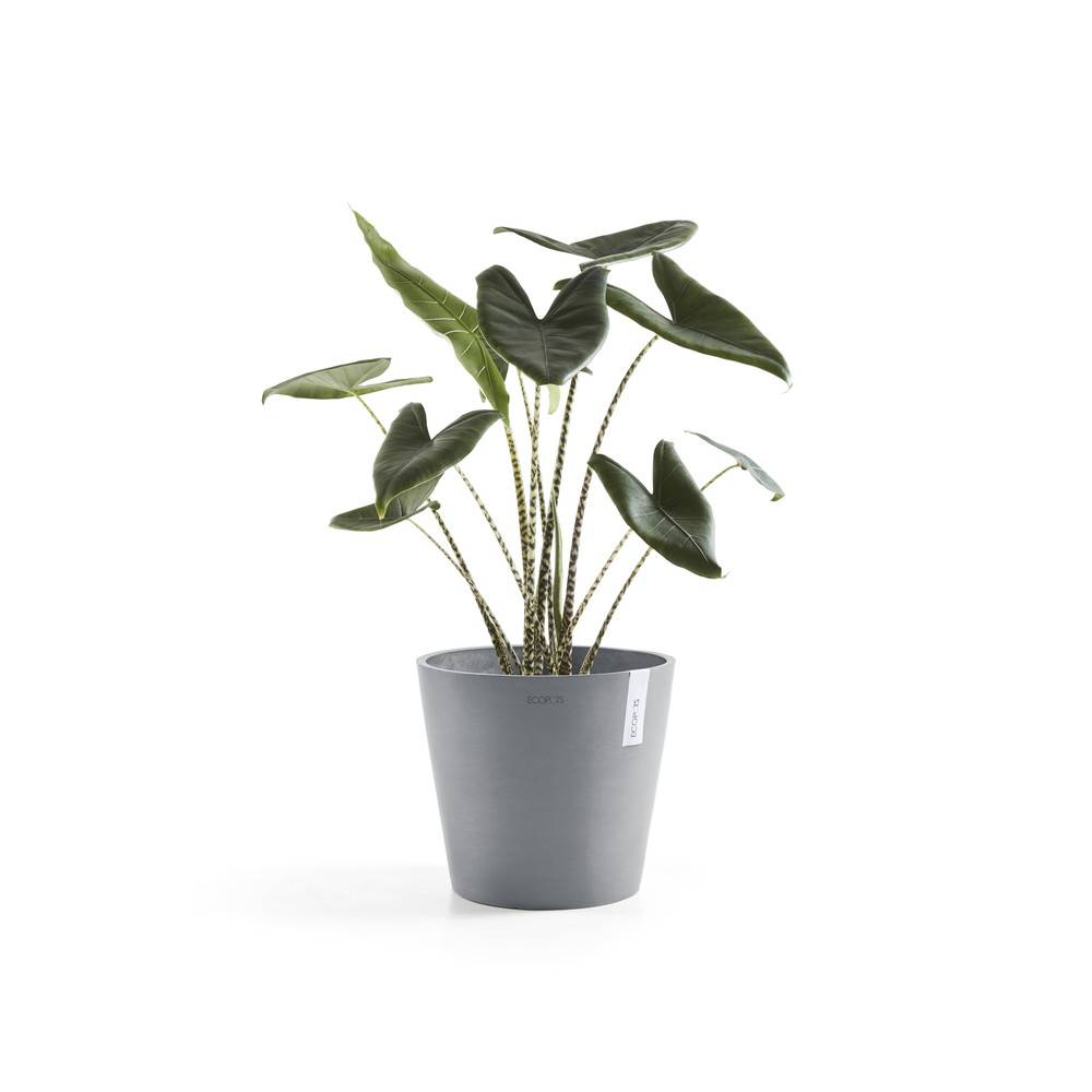 Ecopots - Pot Rond Amsterdam 25 Bleu Gris - Ø 25,4 x H. 24,5 cm - 9,7 L ECOPOTS - Image 1