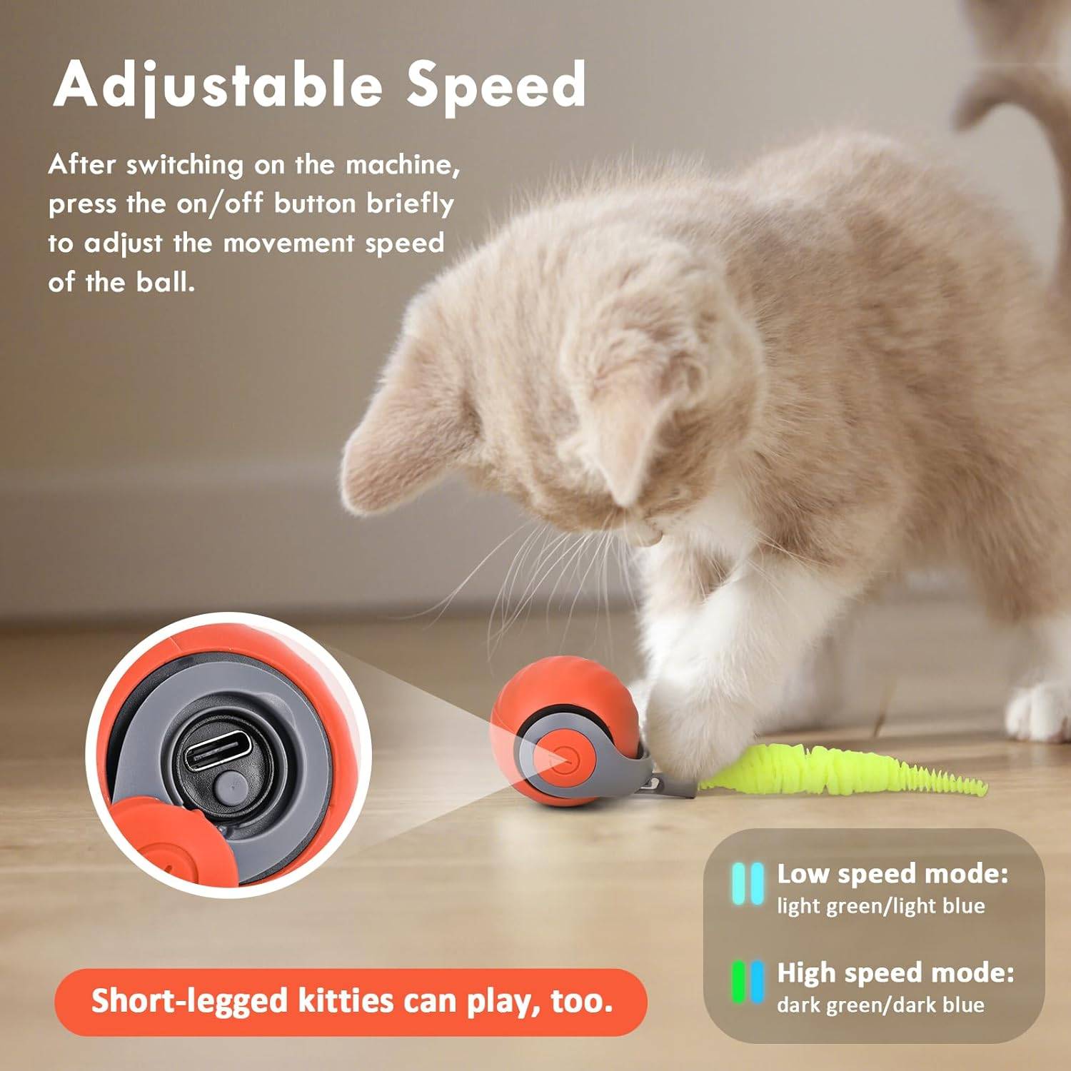 Balle Roulante Automatique - Jouet Chat/Chien DtopbuyAge - Image 2