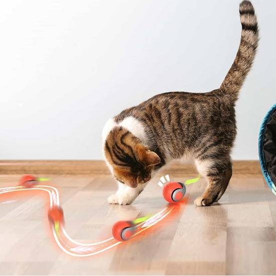Balle Roulante Automatique - Jouet Chat/Chien DtopbuyAge - Image 4