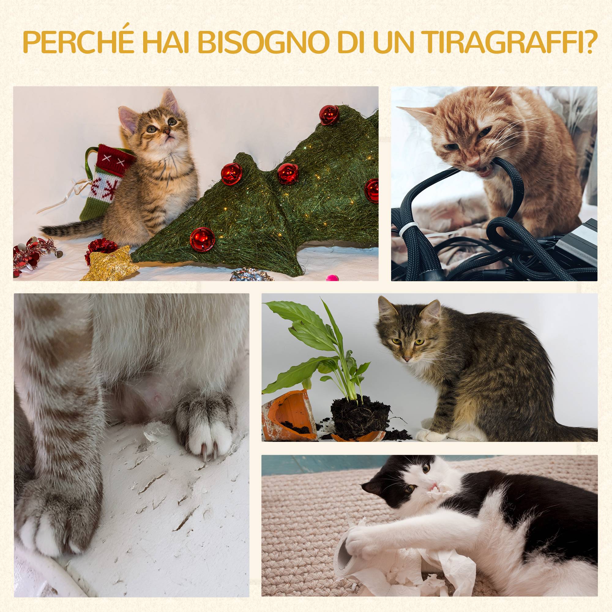 Maison pour chat avec griffoir, 3 niches, corde en sisal et algues - Image 9