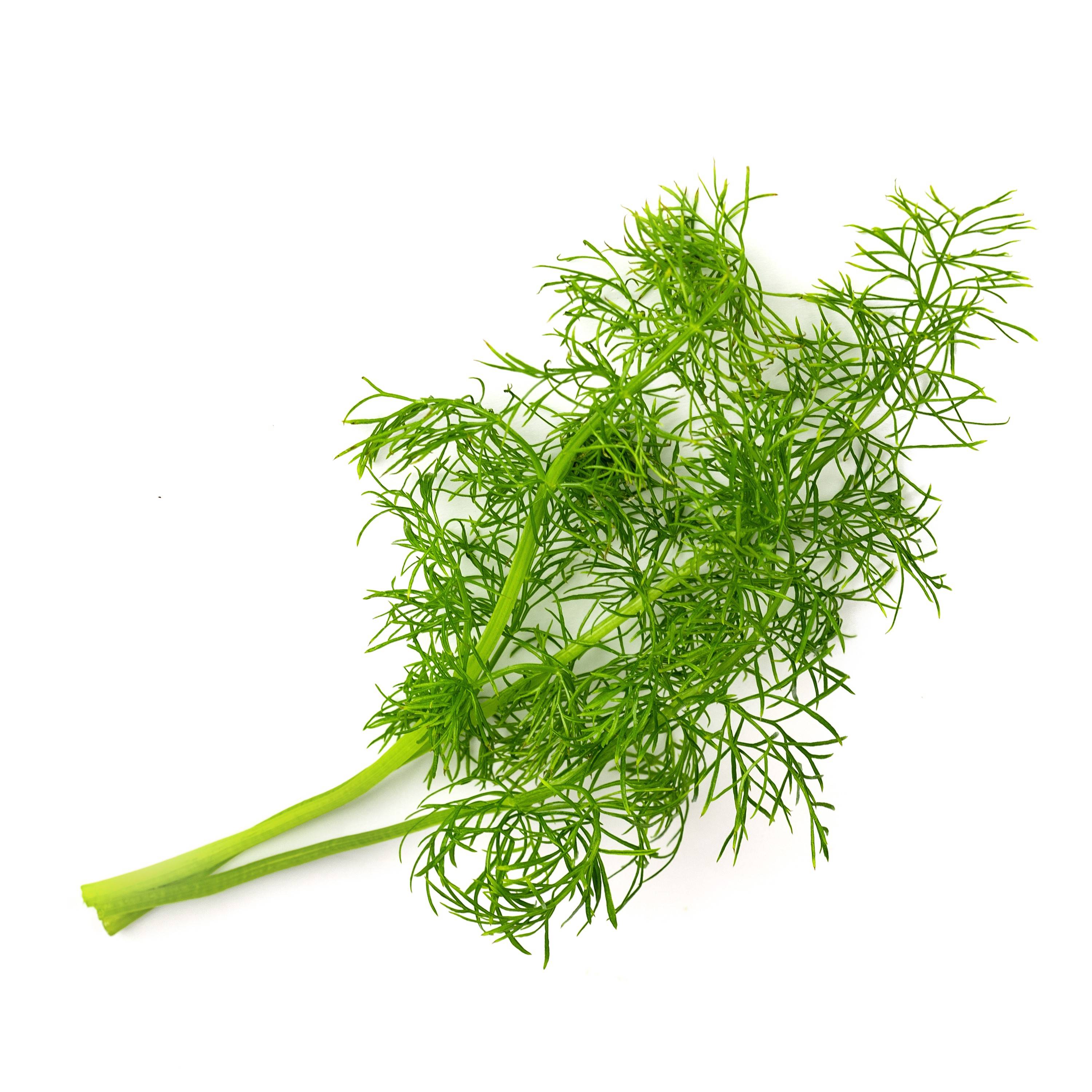 Veritable - Lingot Fenouil BIO - Recharge prête à l'emploi - Véritable - Image 2