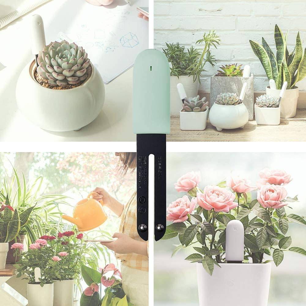 Flower Care Soil Tester, Surveillance intelligente des plantes, bleu - IntiMeg - Image 2