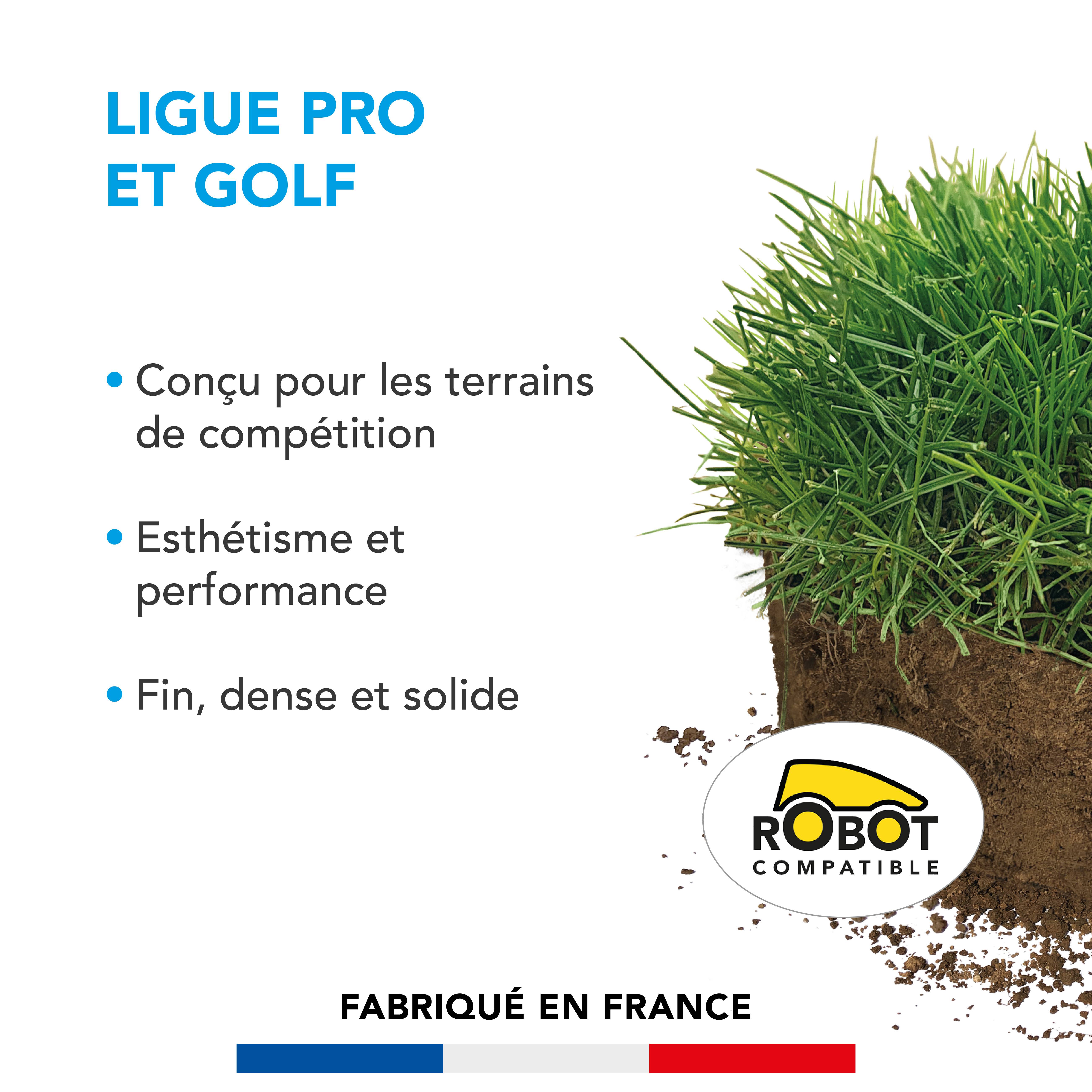 Gazon Ligue Pro et Golf - pour Terrains de Compétition - Esthétisme, Performance - Fin, Dense, Solide - 5KG - BARENBRUG - Image 2