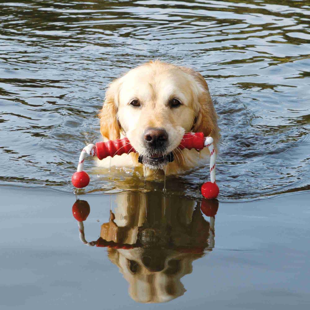 Trixie - jouet aquatique pour chien "MOT-Long" 20 x42 cm Coloris aléatoire - Image 3