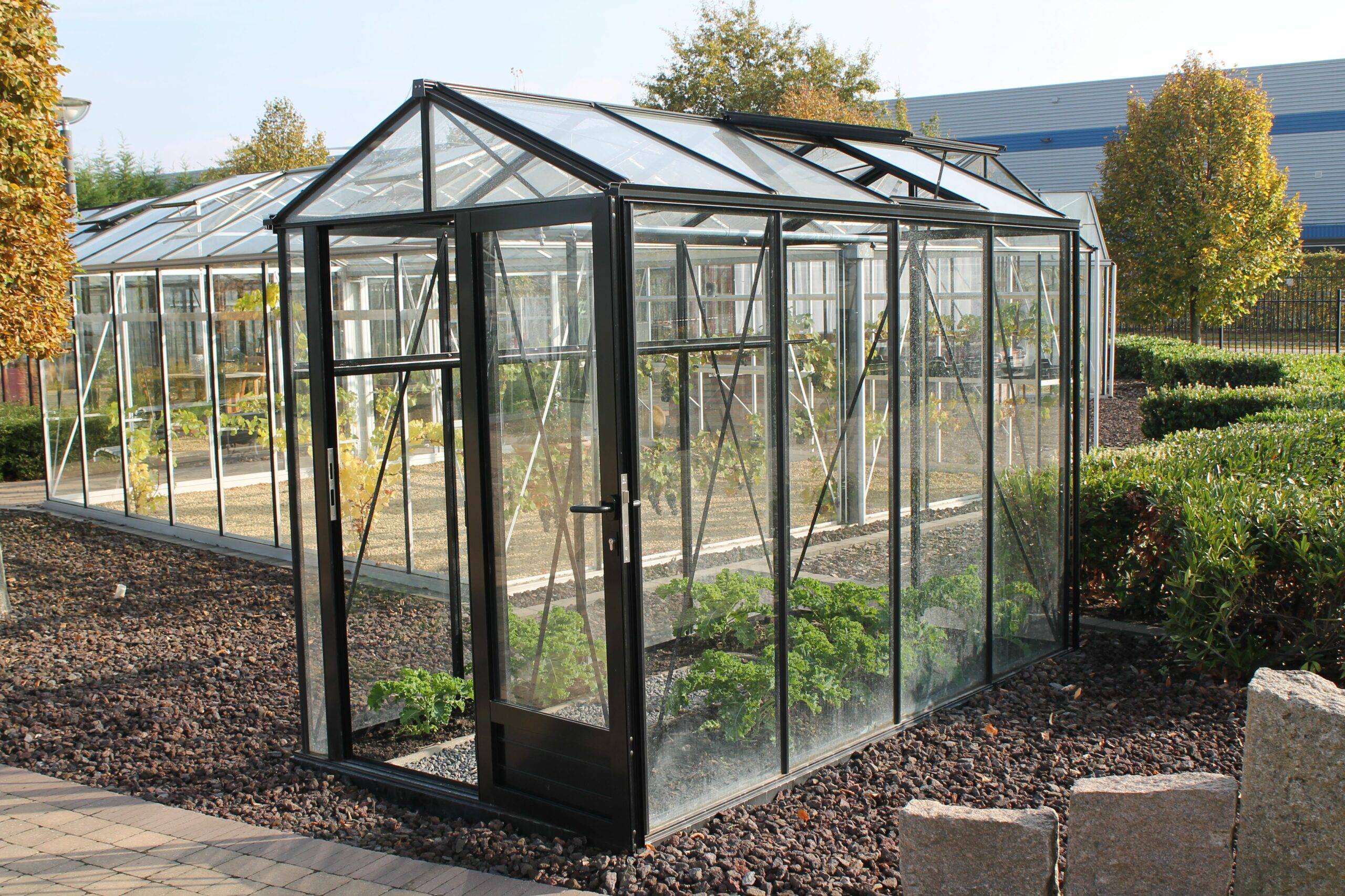 5m²  -  Serre en polycarbonate 8 mm alvéolés - Euro Micro - laqué - 5m² - Noir fonce - L'atelier Des Serres - Image 4