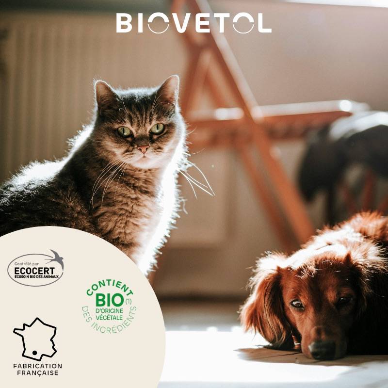 Biovetol - Shampoing Anti-Insectes Bio - Image 5