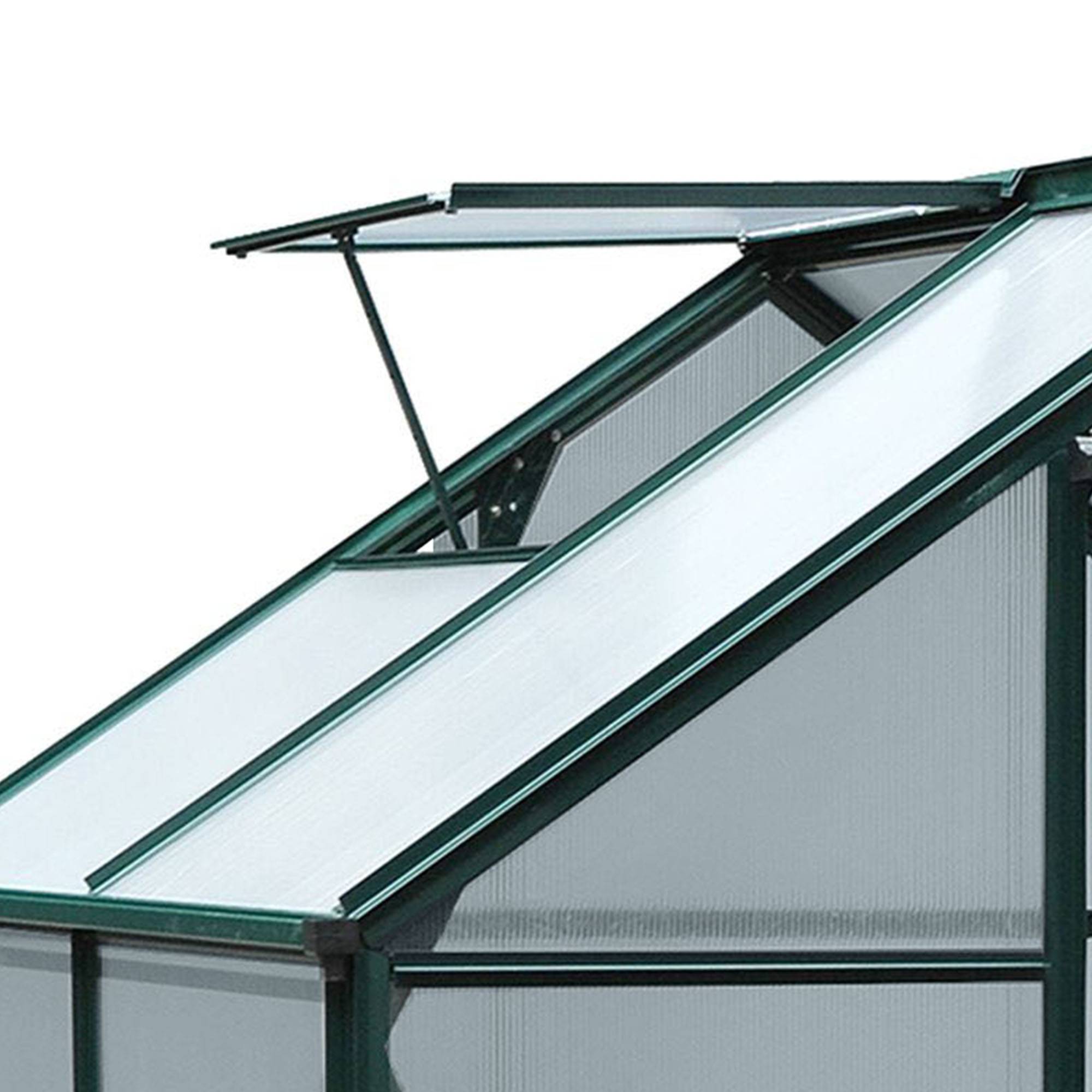 ComfortXL - Serre de jardin en aluminium et polycarbonate 190 x 132 x 201 cm verte avec lucarne pour légumes fleurs et herbes - Image 9
