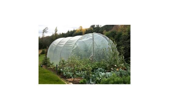 Serre tunnel de jardin - 36m² - 3 x 12 m - pieds arrondis - polyéthylène haute densité - 2 portes pivotantes - LES SERRES TONNEAU - Image 3