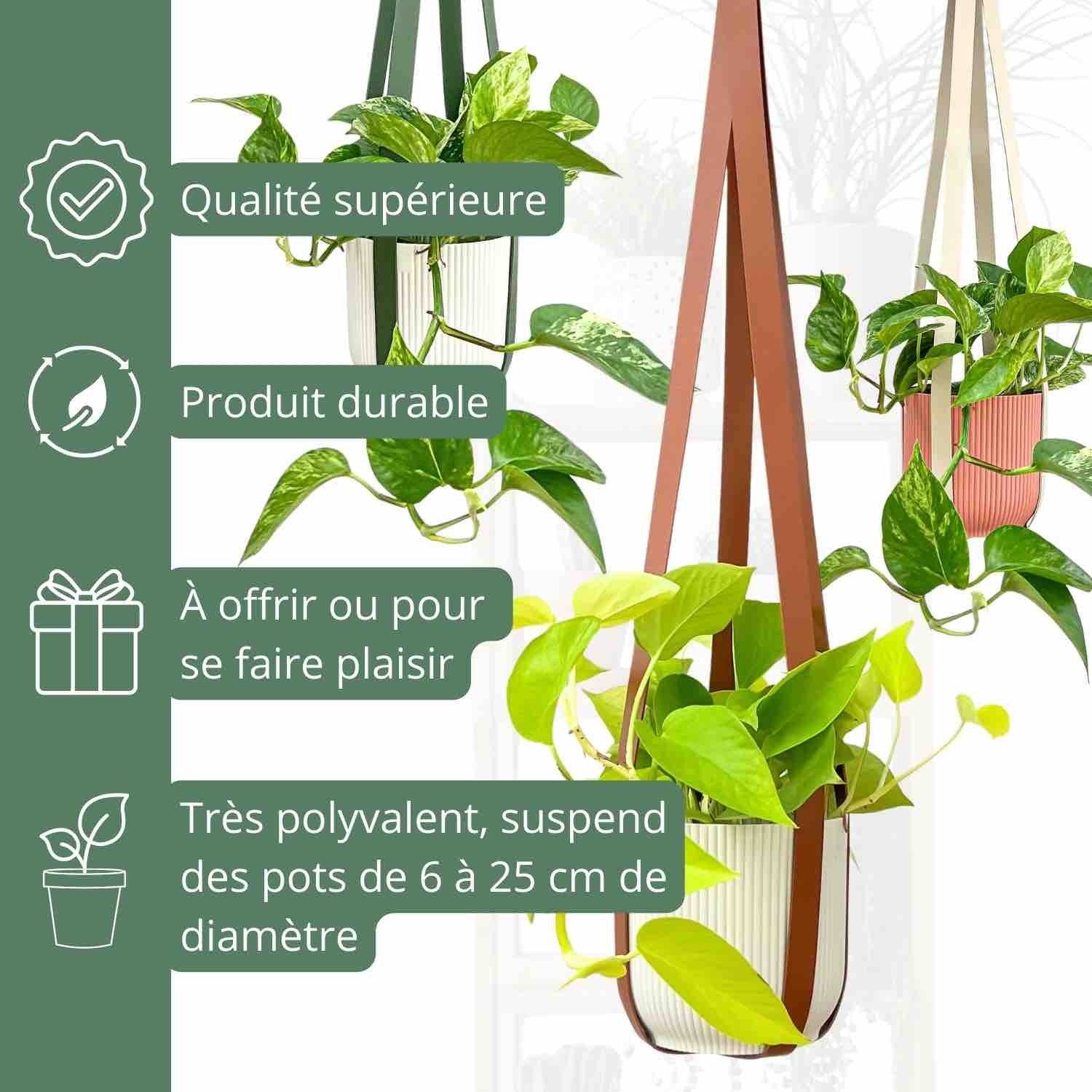 Offre Trio - X3 Suspensions pour plantes en similicuir + crochets en métal offerts ! - Blanc soie - Image 7