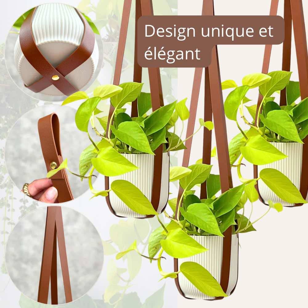 Offre Trio - X3 Suspensions pour plantes en similicuir + crochets en métal offerts ! - Blanc soie - Image 5