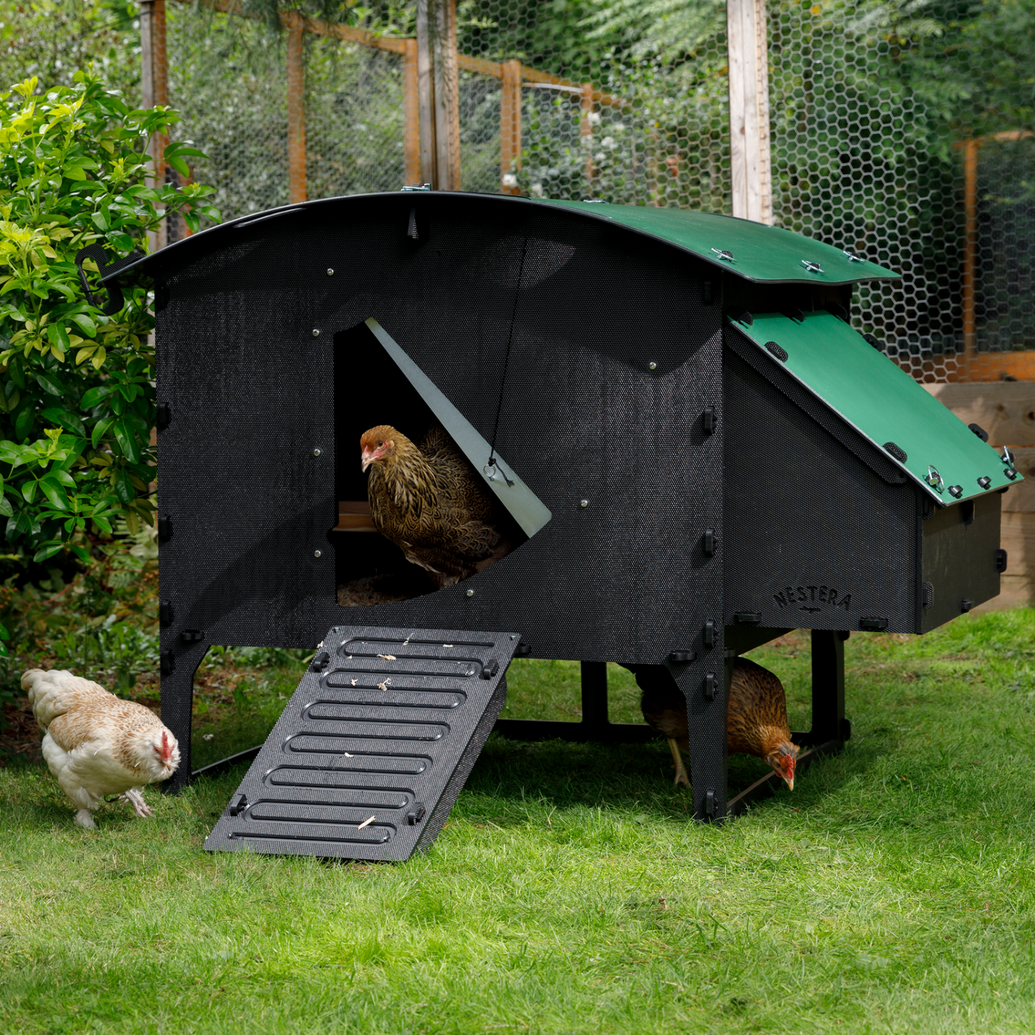 Poulailler Nestera The Lodge Large 8 poules - Plastique recyclé - garanti 25 ans - Image 1