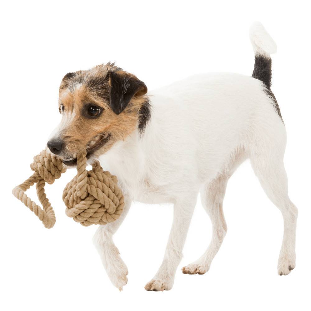 Corde de jeu avec balle tressée pour chien ø 8/35cm. - Image 5