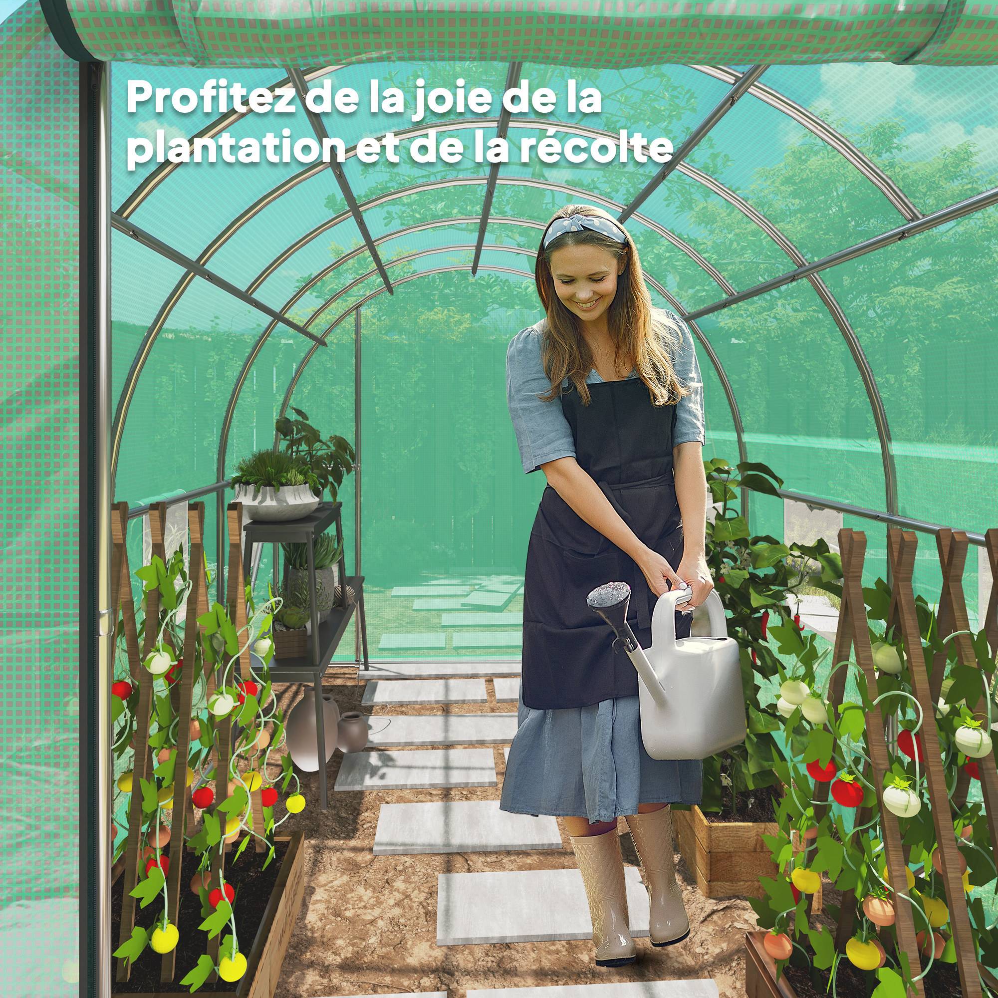 ComfortXL - Serre tunnel Acier galvanisé extérieur culture maraîchère 300x200x195cm Vert - ComfortXL Outdoor Living - Image 10