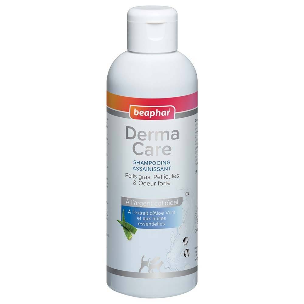 Dermacare Shampoing Assainissant 200
