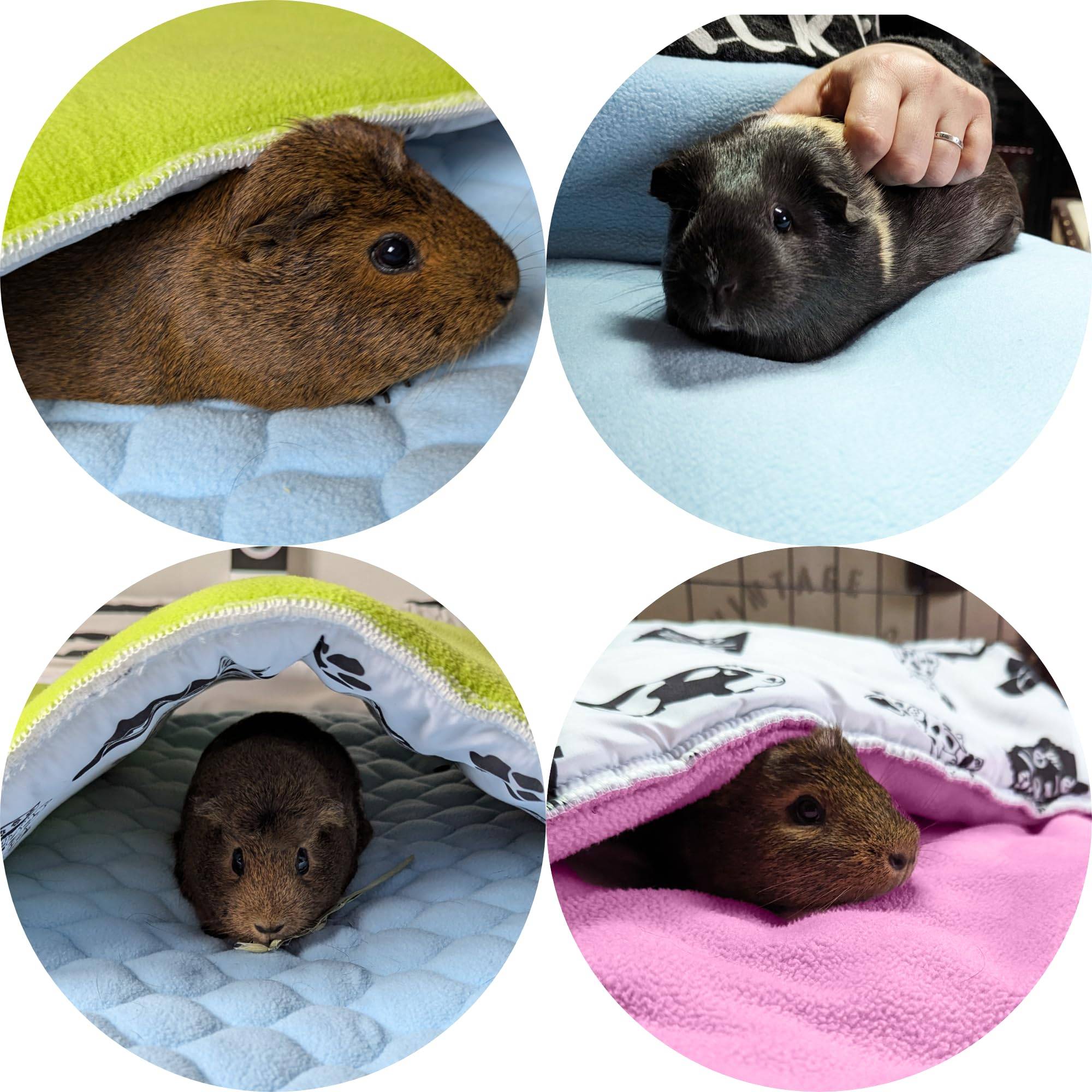 Tapis pour Cochon d'inde et Lapin en Polaire - 140 x 70 cm - Polaire Absorbant, Lavable en Machine, Economique et Ecologique - Neo Solvo - Image 6