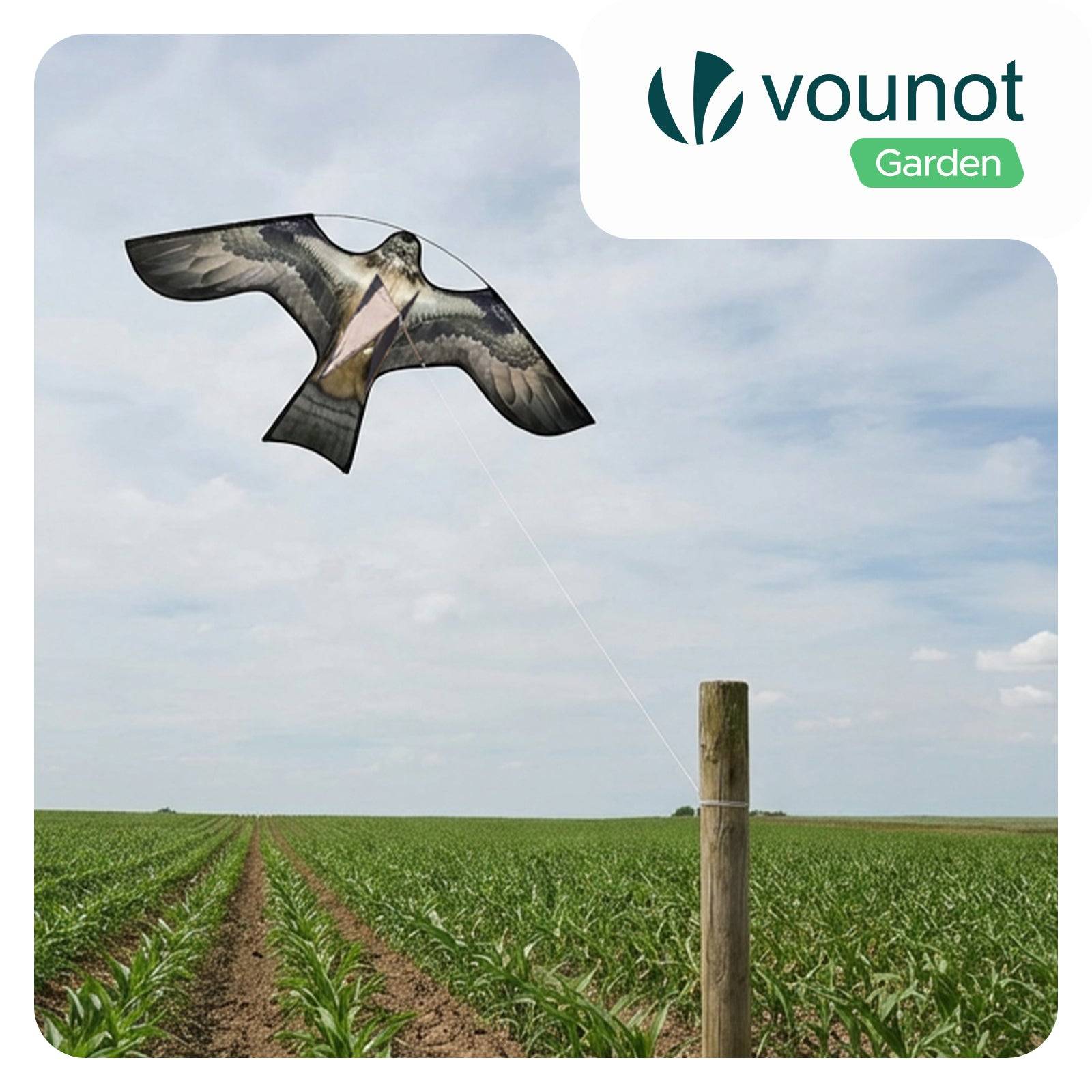 Cerf volant anti oiseaux effaroucheur sans mat Faucon modele E - Image 2