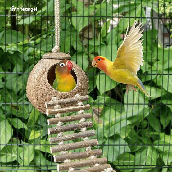 Nid et jouet pour oiseaux et hamsters avec échelle - Image 3
