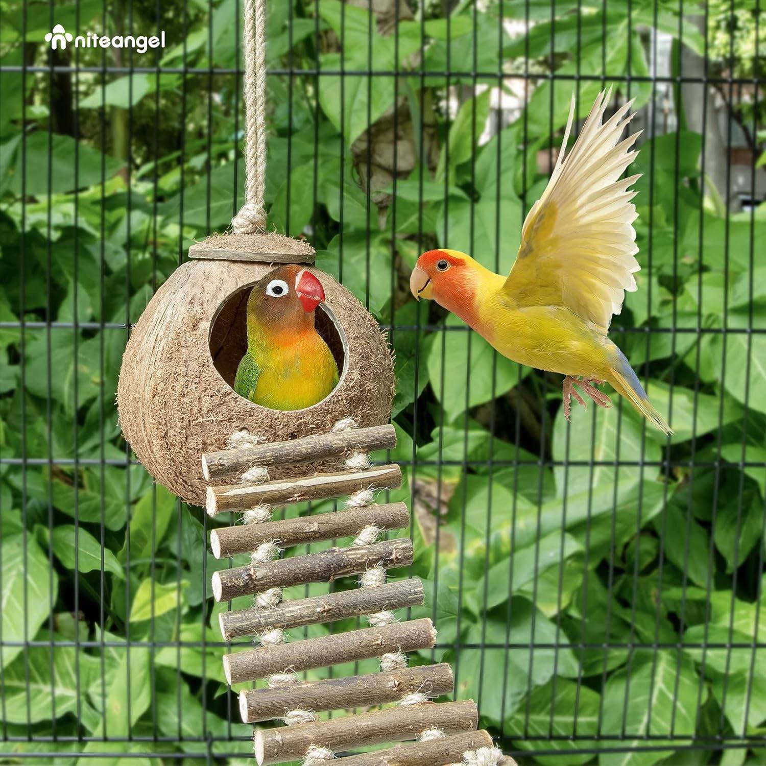 Nid et jouet pour oiseaux et hamsters avec échelle - Image 3