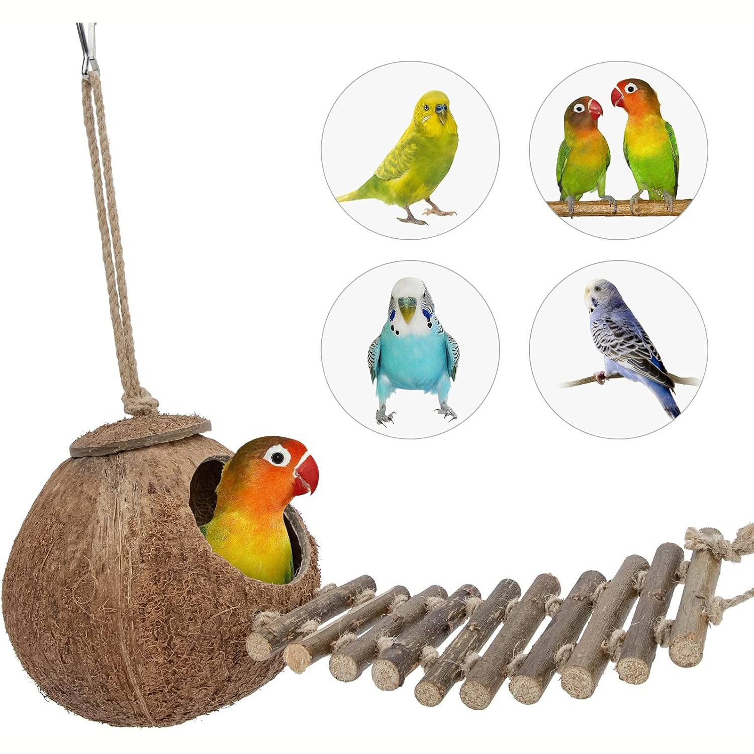 Nid et jouet pour oiseaux et hamsters avec échelle - Image 6