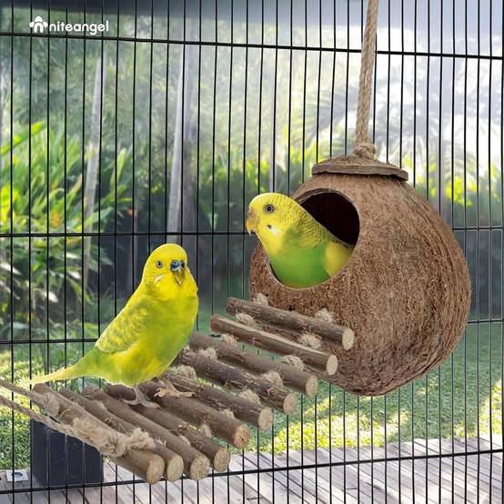 Nid et jouet pour oiseaux et hamsters avec échelle - Image 4