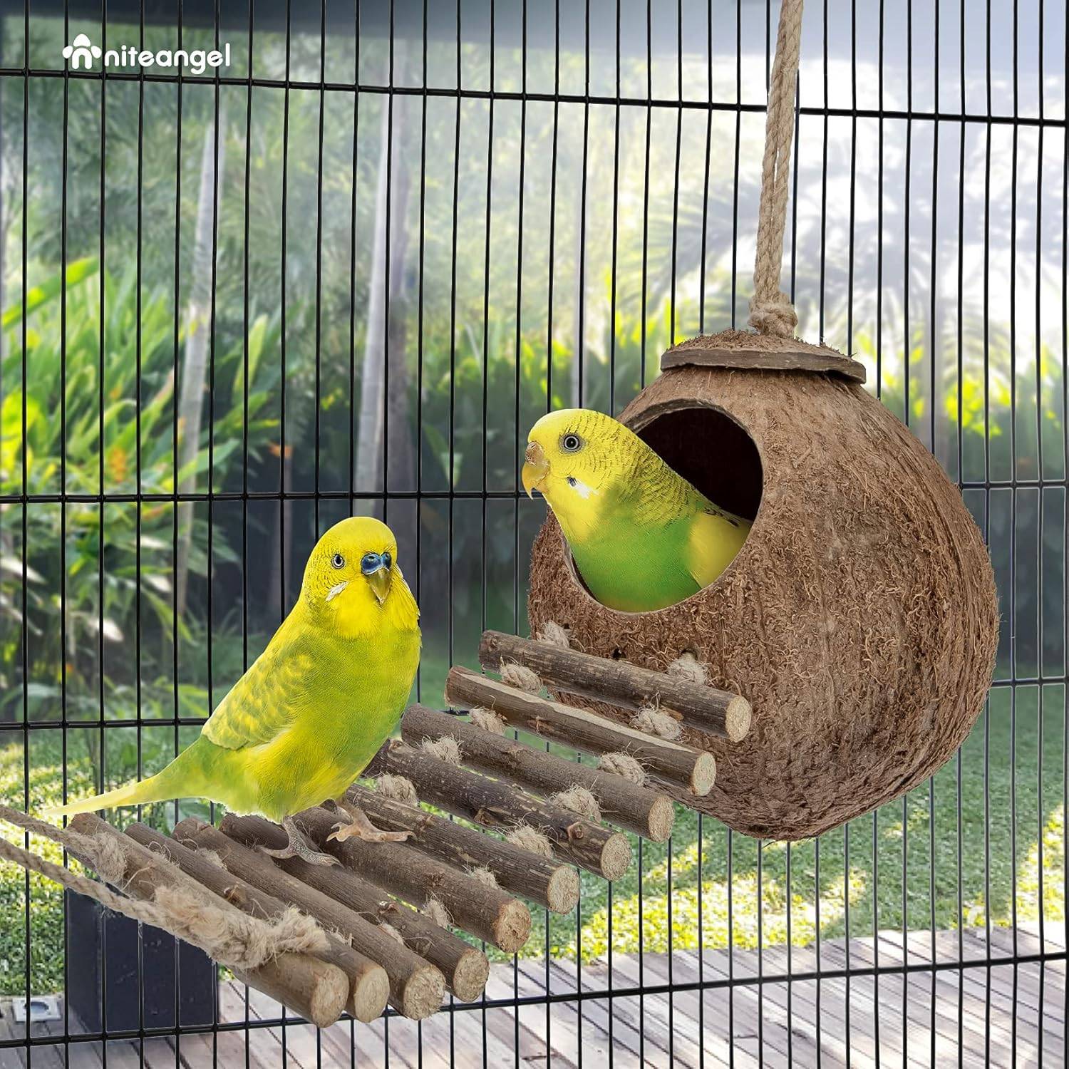 Nid et jouet pour oiseaux et hamsters avec échelle - Image 4