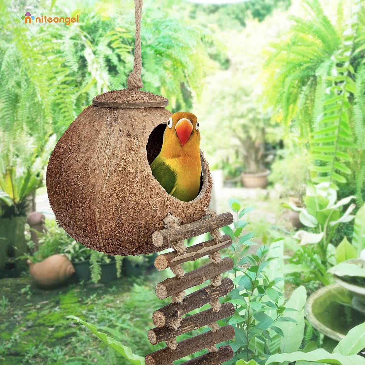 Nid et jouet pour oiseaux et hamsters avec échelle - Image 2