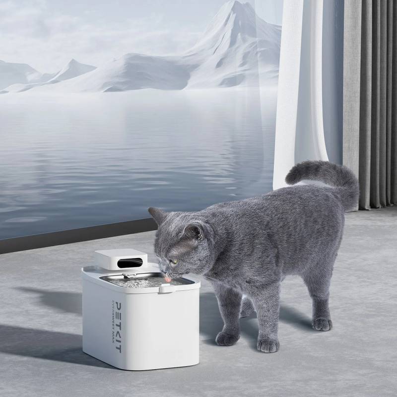 Petkit - Petkit EVERSWEET MAX UVC Fontaine à eau connectée pour animaux, 3L, 83jours d'autonomie Petkit - Image 9