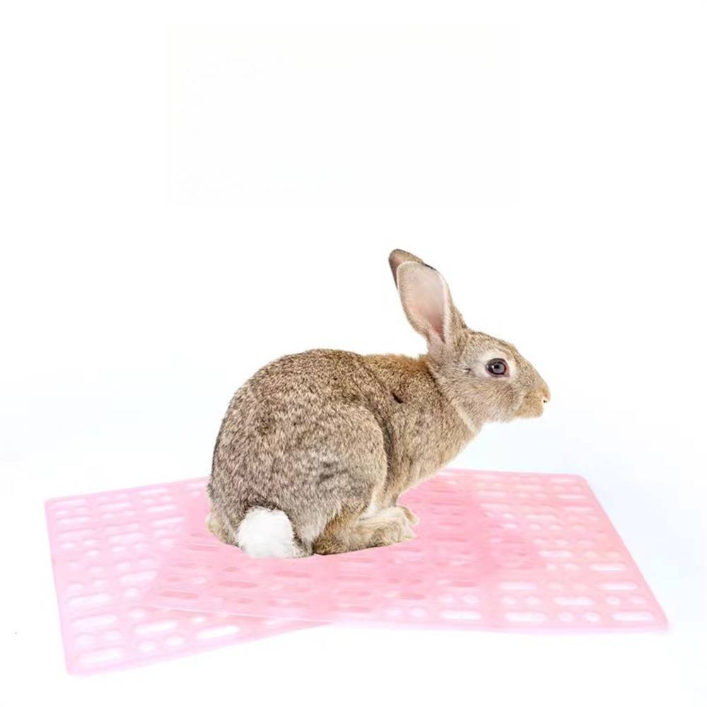 Tapis de cage pour lapin et petits rongeurs DtopbuyAge - Image 2