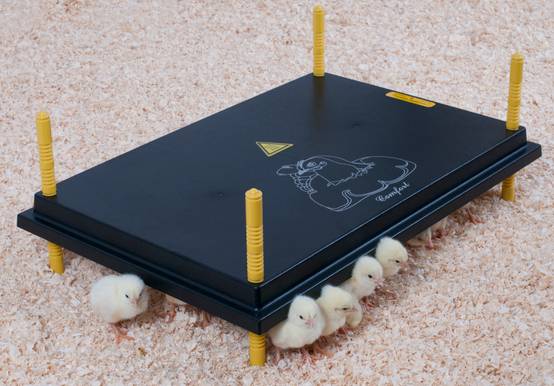 Chick'a - Panneau chauffant pour poussin 40x60 cm - Image 1