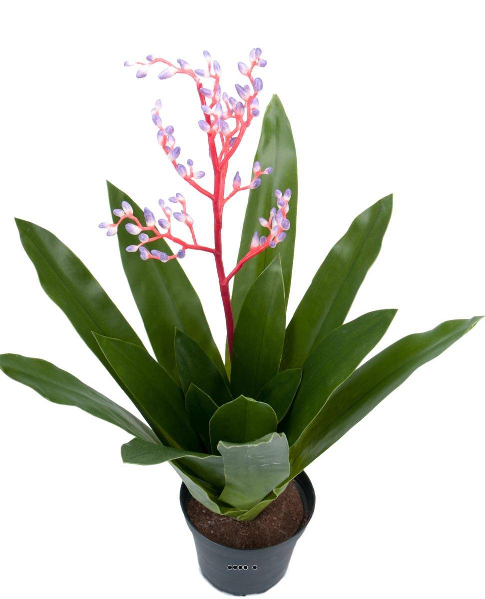 Artificielles - Bromélia artificielle en pot, avec bouton de fleurs, H 40 cm - Image 2
