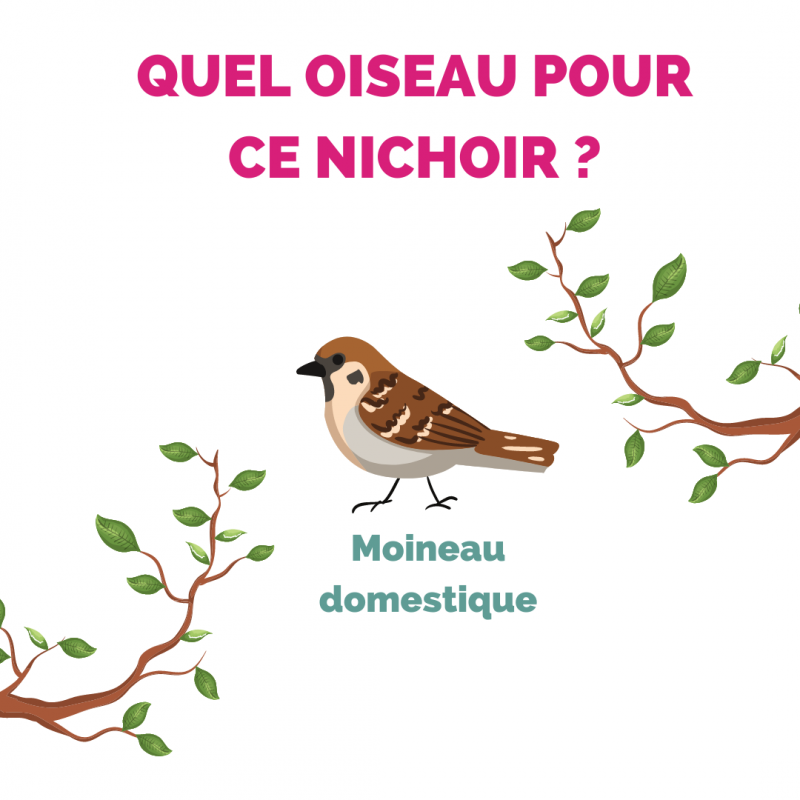 Aubry Gaspard - Nichoir maison en bois pour oiseaux - Aubry Gaspard - Image 2