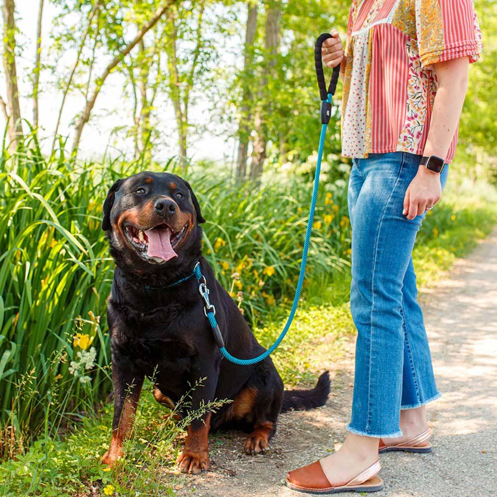 Ferplast - Laisse pour Chiens SPORT EXTREME G8/120, Longe en Nylon Robuste, Poignée Rembourrée Confortable, Marron-Noir - Image 2