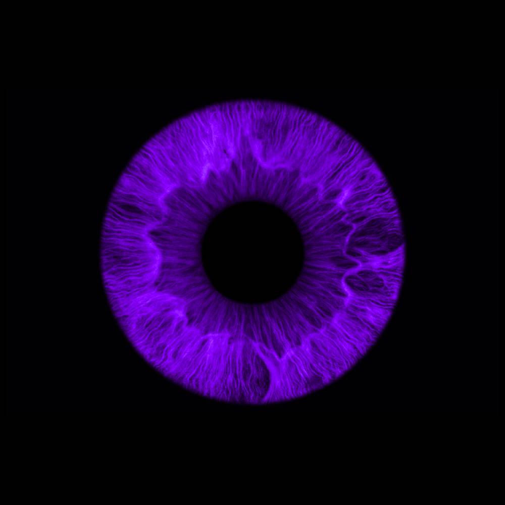 Dare Win Store - Cadre décoratif mural iris 50x50 cm