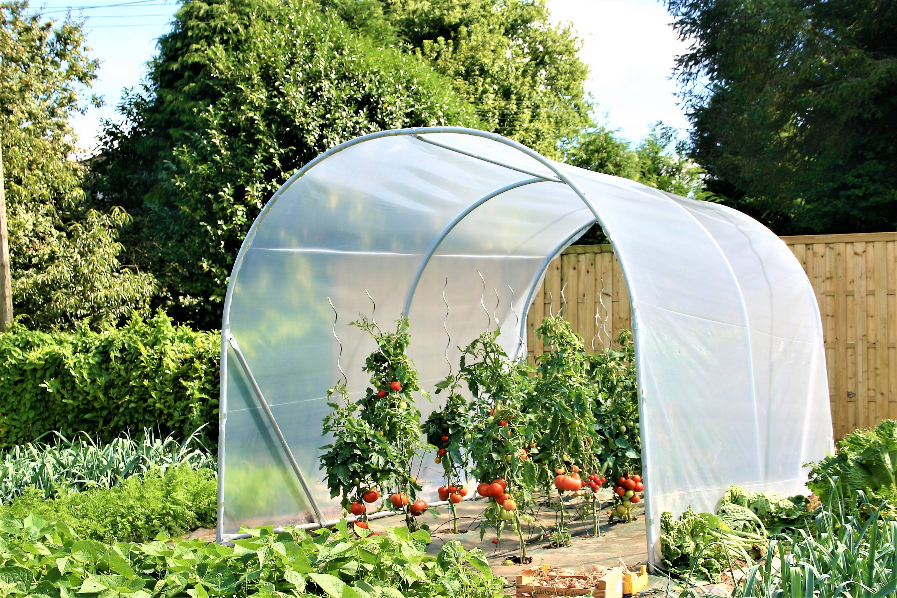 Serre tunnel de jardin Tomstore 2 mètres de large - 8 mètres de long - Crysland