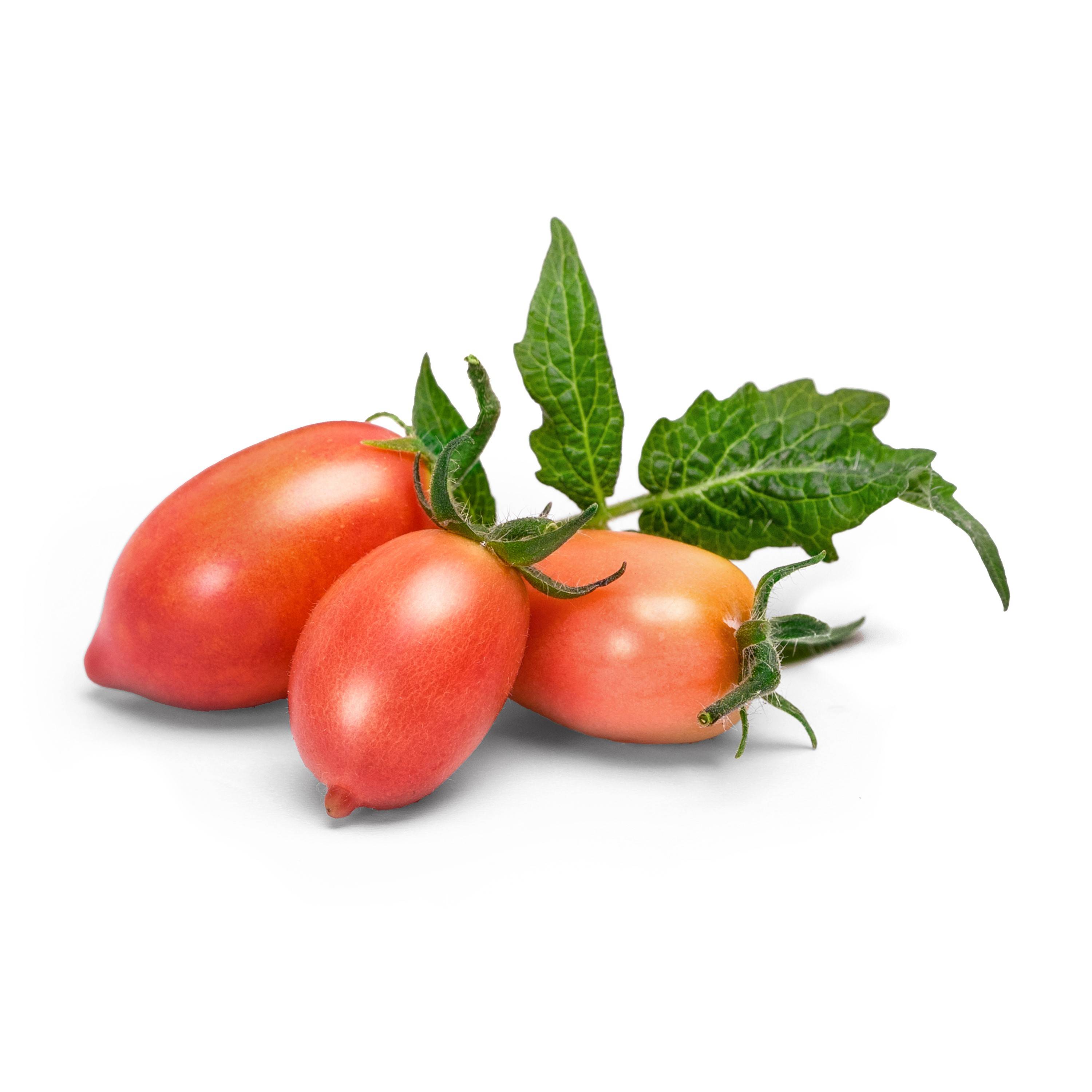 Veritable - Lingot Mini tomate rose - Recharge prête à l'emploi - Véritable - Image 2