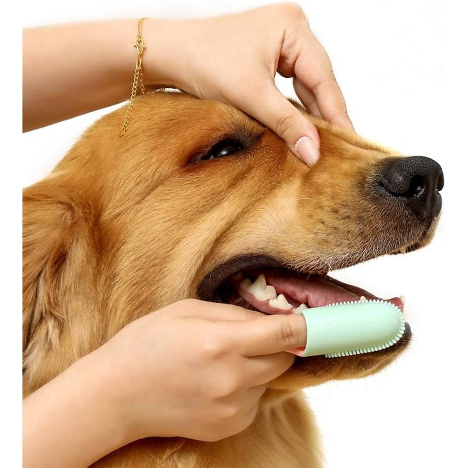 DtopbuyAge - Brosse à Dents Souple pour Chien et Chat - Soin Dentaire 2pcs DtopbuyAge - Image 2