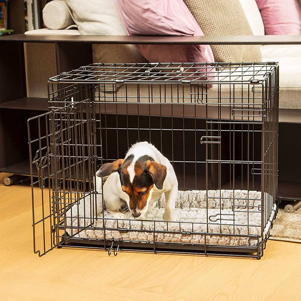 Ferplast - Ferplast Cage de transport pliable pour chiens DOG-INN 60, enclos pour chiots, transport en métal séparation inclus, porte double avec fermeture de - Image 4