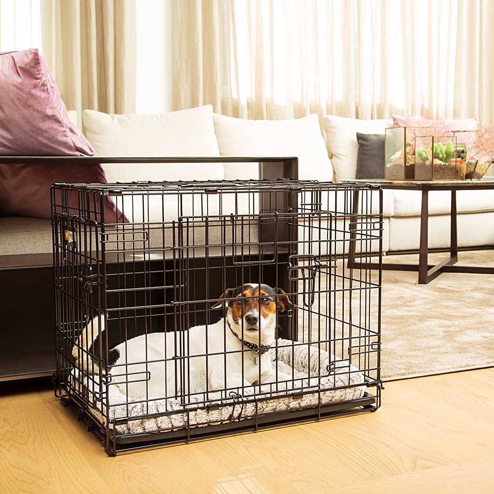 Ferplast - Ferplast Cage de transport pliable pour chiens DOG-INN 60, enclos pour chiots, transport en métal séparation inclus, porte double avec fermeture de - Image 3