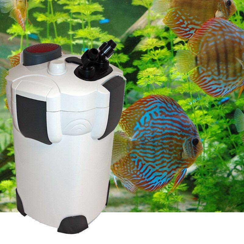 Le Poisson Qui Jardine - Filtre Externe 2000 l/h pour aquarium eau douce et eau de mer : Avec accessoires
